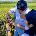 Pantabio: uma startup pantaneira para produção de bioinsumos - Foto: Arquivo Pantabio
