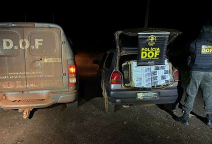 No interior do automóvel foram encontrados 617 aparelhos de telefone celular, avaliados em aproximadamente R$ 1,6 milhão. (Divulgação/DOF)