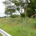 Com indenizações pagas, produtores rurais começam a deixar lotes no Cinturão Verde