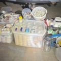No local foram encontrados 10 porções de cogumelos desidratados embalados para distribuição, três bombons supostamente preparados com a mesma substância e 13 cápsulas Foto: Reprodução/ PMMS