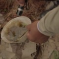 Tanto a dengue quanto a chikungunya são transmitidas pela picada do mosquito Aedes aegypti - Foto: Arquivo RCN67