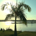 Frente fria muda o tempo em Três Lagoas e derruba temperaturas em MS na próxima semana