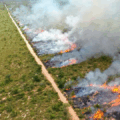 Novas diretrizes já estão em vigor - Foto: Reprodução/ Gov MS