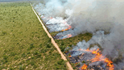 Novas diretrizes já estão em vigor - Foto: Reprodução/ Gov MS