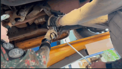 Com o veículo suspenso, a equipe conseguiu retirar a serpente sem ferimentos. (Foto: Divulgação/BPMA)