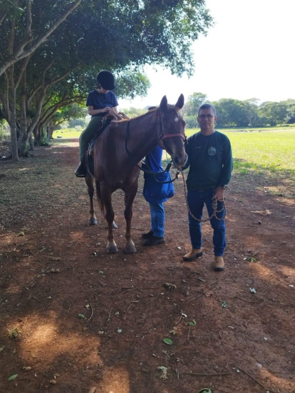 A Equoterapia da PMA de Dourados está de luto. (Divulgação/PMA)