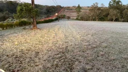 Previsão indica possibilidade de geada no Sul do estado - Foto: Reprodução