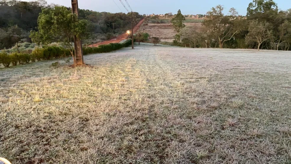 Previsão indica possibilidade de geada no Sul do estado - Foto: Reprodução