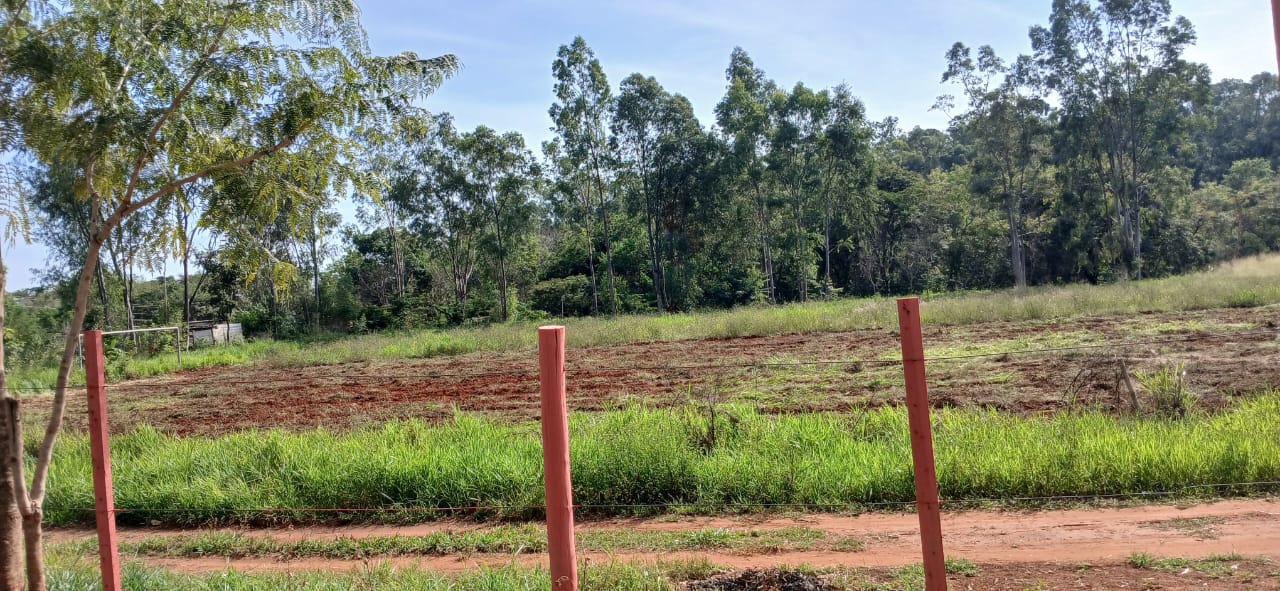 Segundo ela, criminosos levaram materiais de construção e ferramentas que seriam usados na montagem de um rancho no local conhecido como 'Projeto Jupiá'. Foto: Reprodução/TVC HD.