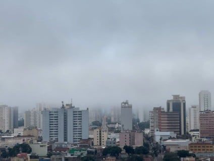 Vereadores aprovam projetos que beneficiam Pescados da Mata, Hapvida, Maxbrio e outras em Campo Grande