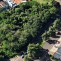 Espécie tomou a área após intervenções causadas pela obra de implementação da Avenida Interlagos - Foto: Reprodução/ MPMS