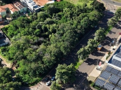 Espécie tomou a área após intervenções causadas pela obra de implementação da Avenida Interlagos - Foto: Reprodução/ MPMS