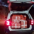 Polícia apreende mais de 656 kg de maconha durante reintegração de posse em Campo Grande