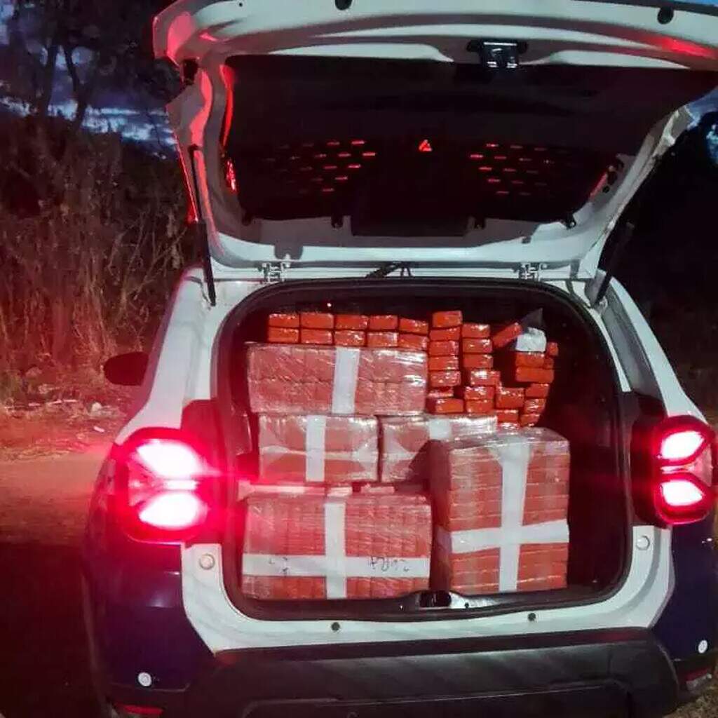 Polícia apreende mais de 656 kg de maconha durante reintegração de posse em Campo Grande Polícia apreende mais de 656 kg de maconha durante reintegração de posse em Campo Grande