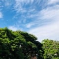 Clima deve permancer estável em todo MS nos próximos dias - Foto: Arquivo/ RCN67