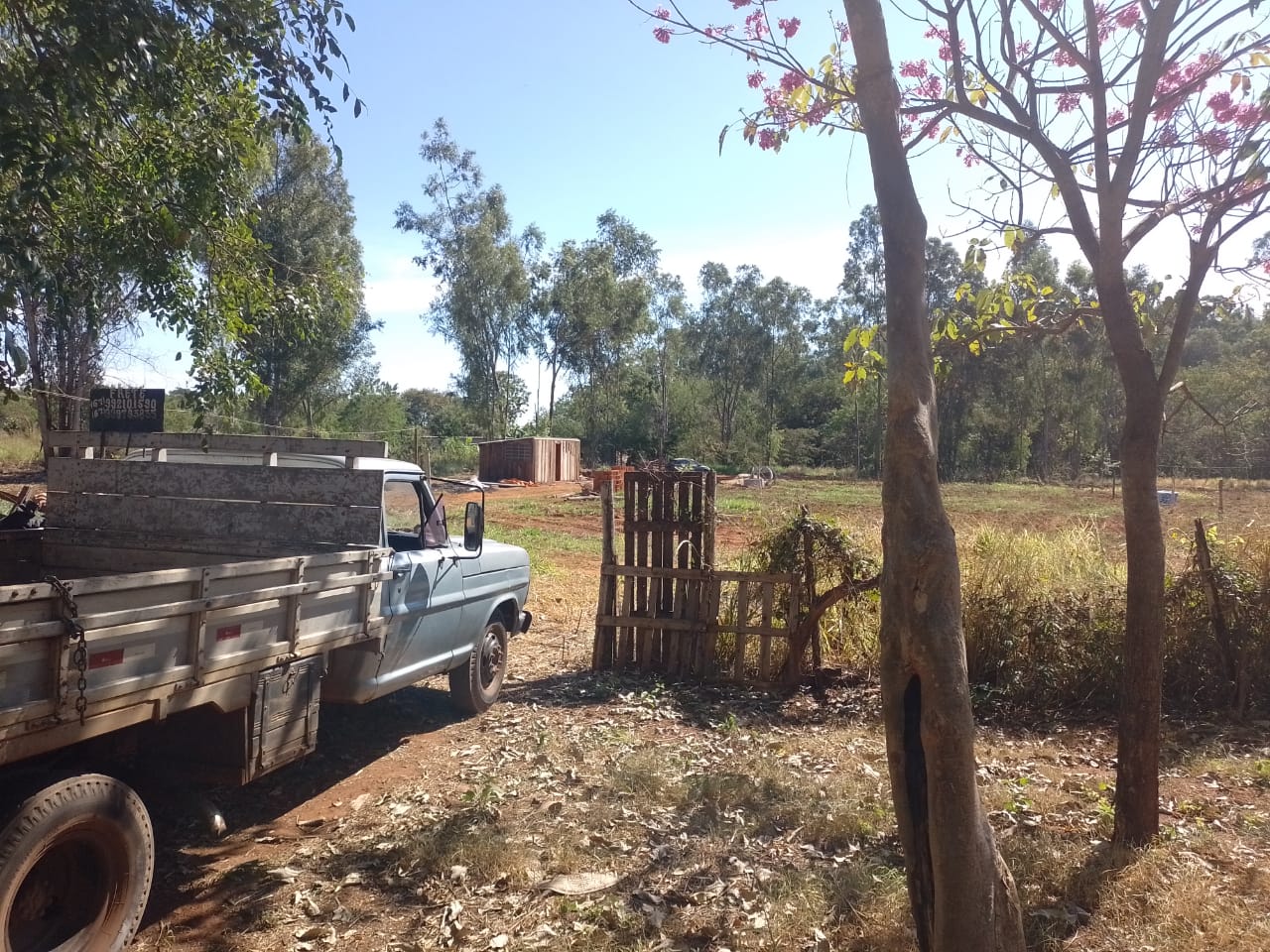 Segundo ela, criminosos levaram materiais de construção e ferramentas que seriam usados na montagem de um rancho no local conhecido como 'Projeto Jupiá'. Foto: Reprodução/TVC HD.