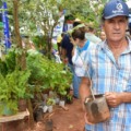 Serão realizadas doações de mudas de árvores nativas e frutíferas - Foto: Reprodução/ Prefeitura de CG