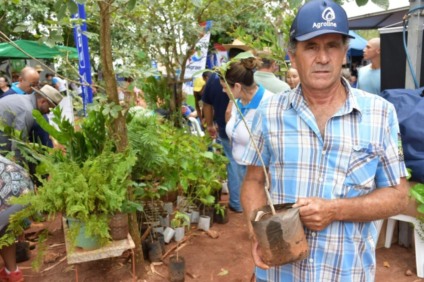 Serão realizadas doações de mudas de árvores nativas e frutíferas - Foto: Reprodução/ Prefeitura de CG