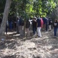 Estudantes participam de circuito ecológico no Cinturão Verde