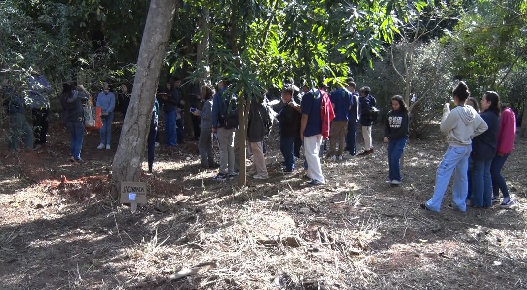 A iniciativa, que integra um projeto de extensão da Universidade Federal de Mato Grosso do Sul (UFMS), visa promover a educação ambiental, valorizar a agricultura familiar e incentivar práticas sustentáveis. Foto: Reprodução/TVC HD.