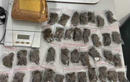 Foram fencontradas 48 porções de maconha já preparadas para comercialização - Foto: Reprodução/ PCMS