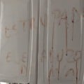 Homem teria escrito frases nas paredes com o sangue da vítima - Foto: Reprodução/ PCMS