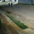 Crime foi filmado por câmeras de segurança - Foto: Reprodução/PCMS