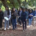 Alunos vivenciam práticas sustentáveis no Cinturão Verde de Três Lagoas