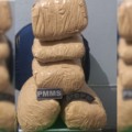 Passageiro abandona bagagem com drogas e foge para matagal - Foto: Reprodução PMMS