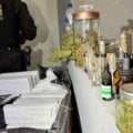 De acordo com a polícia, o material apreendido, é avaliado em aproximadamente R$ 2 milhões. (Foto: Divulgação/DOF)