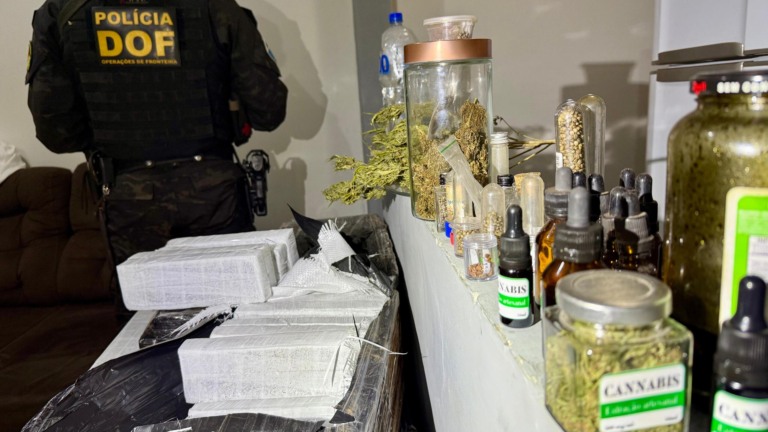 De acordo com a polícia, o material apreendido, é avaliado em aproximadamente R$ 2 milhões. (Foto: Divulgação/DOF)