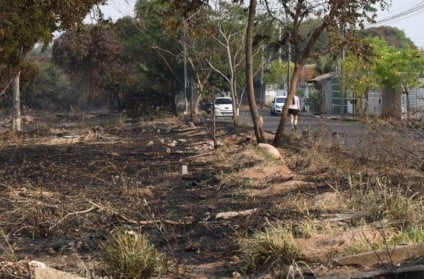 Estiagem na Capital triplicou o número de incêndios urbanos - Foto: Reprodução/CBMMS