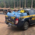 PRF apreende mais de 360 kg de drogas escondidas em carga de recicláveis na BR-262 em Três Lagoas
