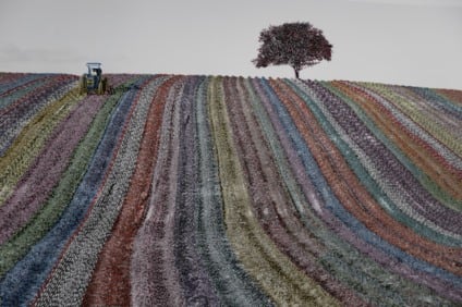 Teia Criativa abre inscrições para exposição de bordados e oficina de foto-bordado com artista consagrado