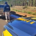 PRF apreende mais de 700 kg de maconha na BR-158 em Três Lagoas