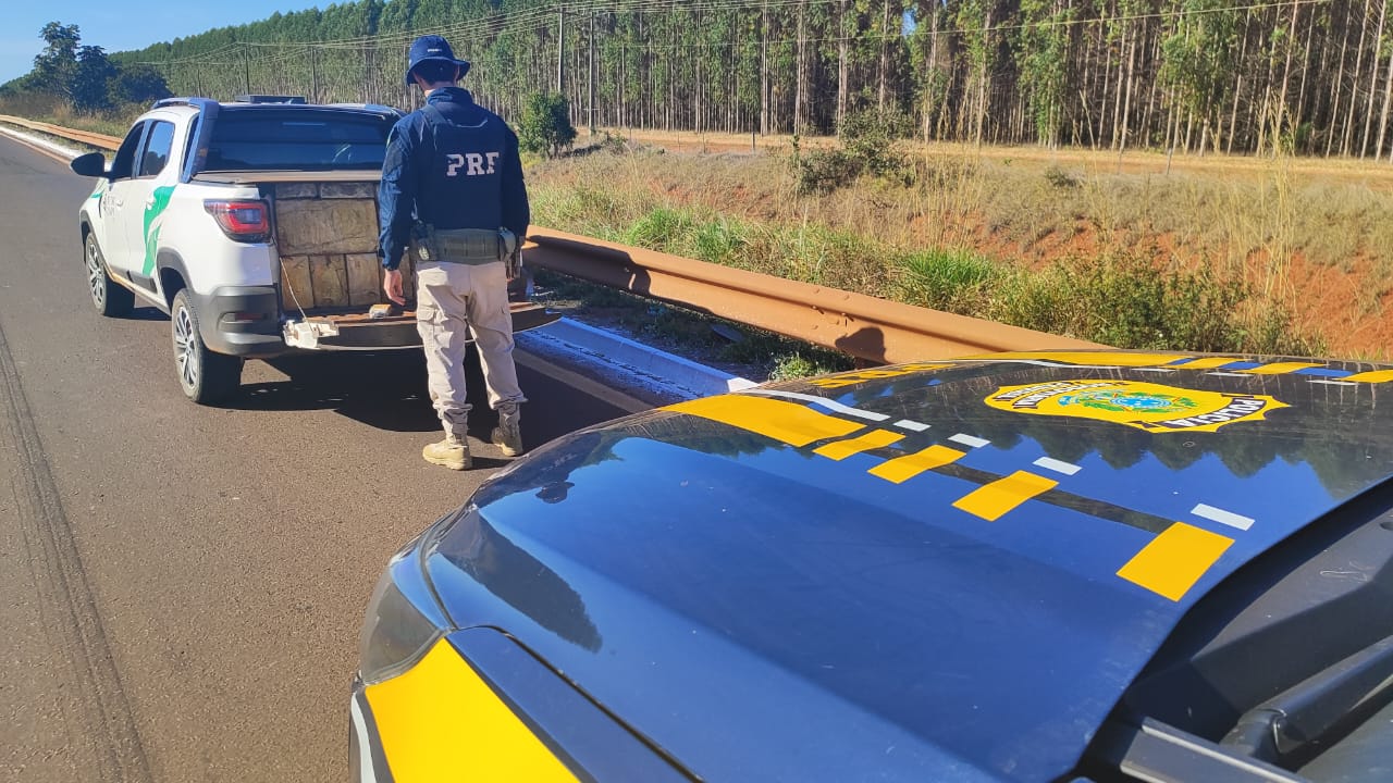 "Damas do tráfico" foram flagradas carregando 711kg de maconha: Divulgação/Polícia Rodoviária Federal 