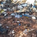 Crescimento de Três Lagoas expõe desafio ambiental e descarte irregular de lixo preocupa moradores