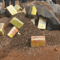 A carga, escondida em um caminhão do tipo caçamba, totalizou 5,8 toneladas de maconha. (Foto: Divulghação)

