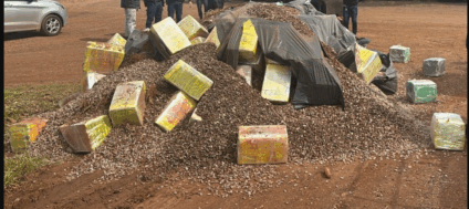 A carga, escondida em um caminhão do tipo caçamba, totalizou 5,8 toneladas de maconha. (Foto: Divulghação)

