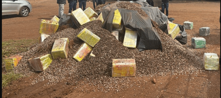 A carga, escondida em um caminhão do tipo caçamba, totalizou 5,8 toneladas de maconha. (Foto: Divulghação)

