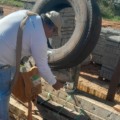 Em Amambai, mais de 270 mil ovos foram coletados só em 2024 - Reprodução/SES