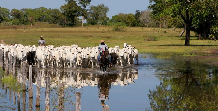 Interessados devem estar vinculados ao ATeG - Foto: Reprodução/ Senar MS