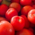 Tomate do tipo longa vida está cotado a R$ 130 a caixa - Foto: Reprodução/ Ceasa-MS