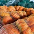 Estação aumenta procura por legumes que enriquecem caldos e sopas - Foto: Reprodução/ Ceasa-MS