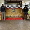 Veículos e drogas foram apreendidos - Foto: Divulgação/DOF