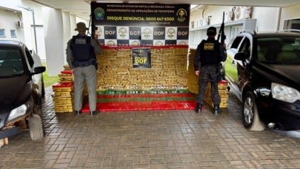 Veículos e drogas foram apreendidos - Foto: Divulgação/DOF