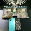 Maconha e cocaína foram apreendidas - Foto: Reprodução/ PCMS