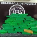 O forte odor de maconha levantou suspeitas dos policiais - Foto: Polícia CIvil