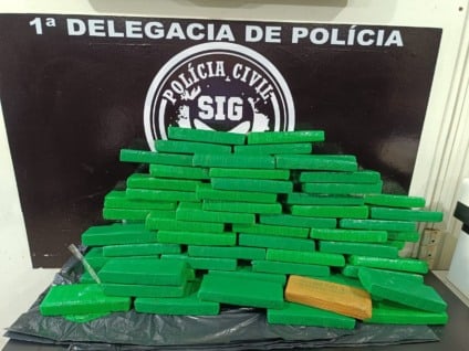 O forte odor de maconha levantou suspeitas dos policiais - Foto: Polícia CIvil