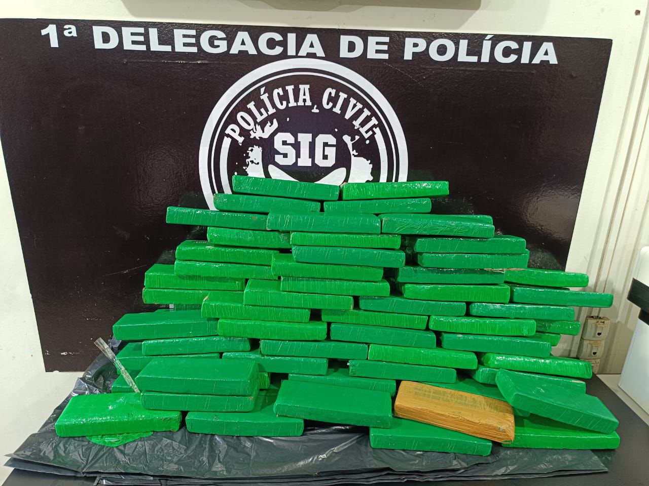 O forte odor de maconha levantou suspeitas dos policiais - Foto: Polícia CIvil